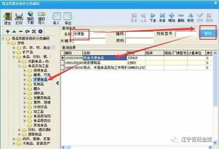 百旺稅控開票系統(tǒng)商品和服務(wù)稅收分類編碼操作手冊(cè) 計(jì)算機(jī)系統(tǒng)服務(wù)